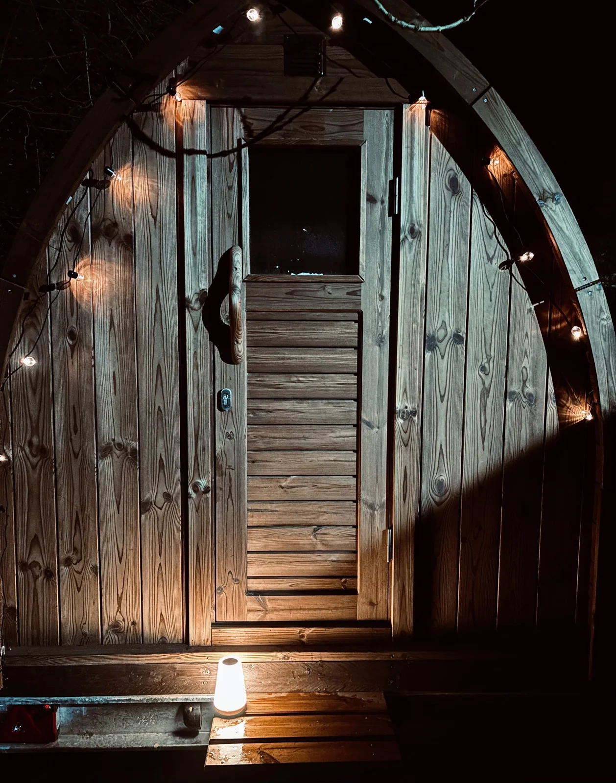 Blick durch die Glastür in den holzverkleideten Saunaraum