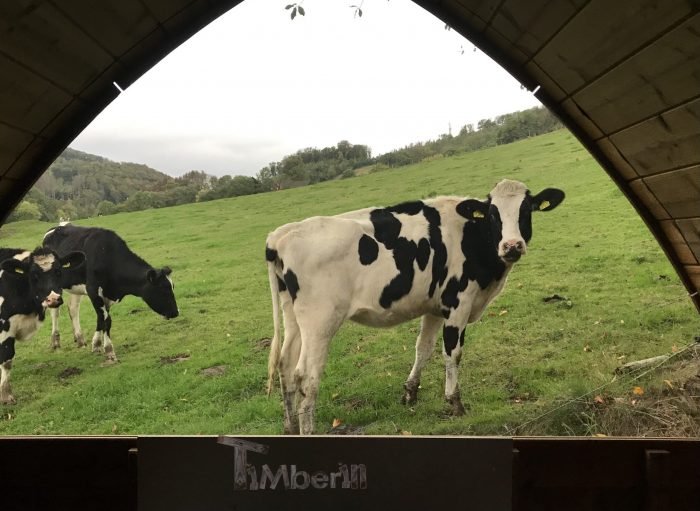 Außensauna Gartensauna Iglu Pod mit Holzofen Elektrisch, Peter, Hagen, Deutschland 7 Außensauna Gartensauna Iglu Pod Mit Holzofen Elektrisch, Peter, Hagen, Deutschland (12)
