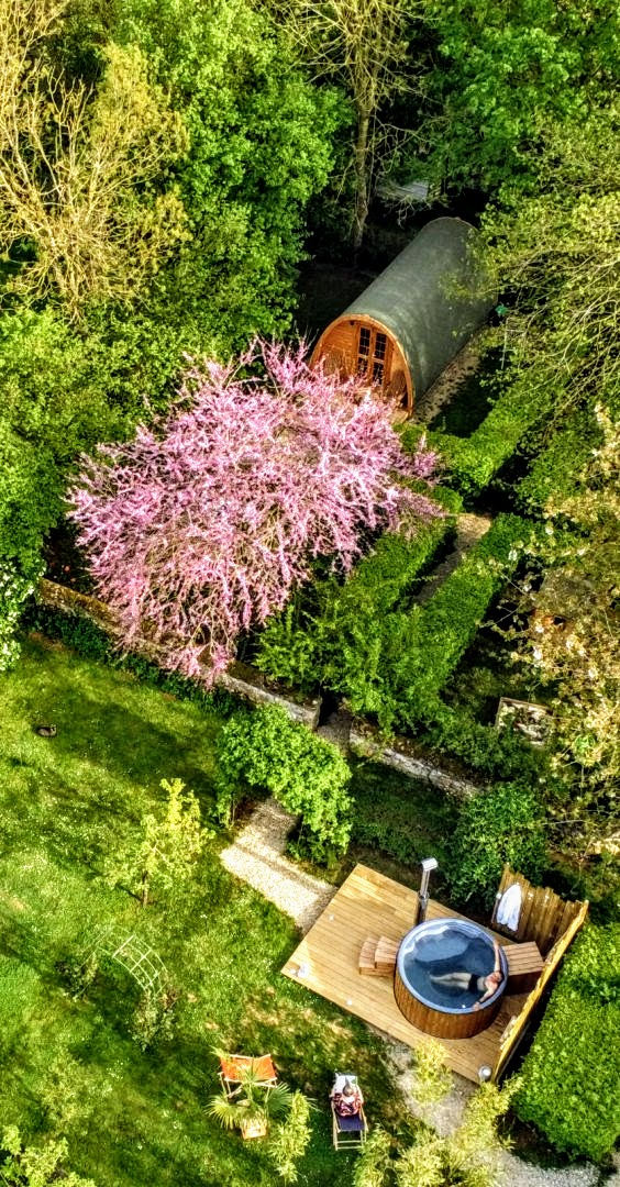 Lange Fasssauna aus Holz in einem grünen Garten unter einem blühenden Baum