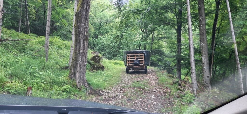 Untergrund und Terrasseneinbau eines Badefasses 14 Lieferung eines Badefasses vor dem Terrasseneinbau